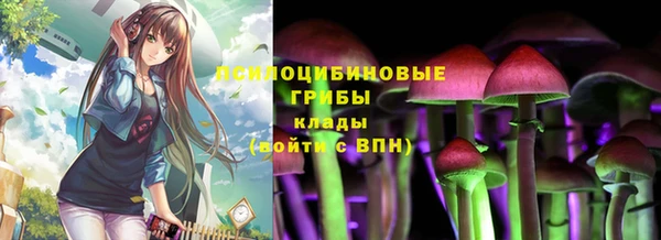 твердый Надым