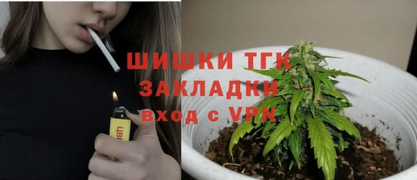 твердый Надым