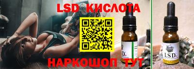 спиды Гатчина