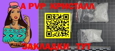 спиды Гатчина