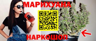 спиды Гатчина