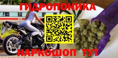 спиды Гатчина