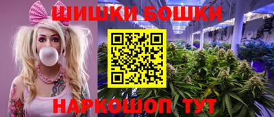 спиды Гатчина