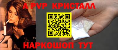 спиды Гатчина