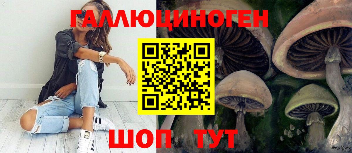 Звенигород  Псилоцибиновые грибы Psilocybine cubensis  закладки  Вход с VPN 