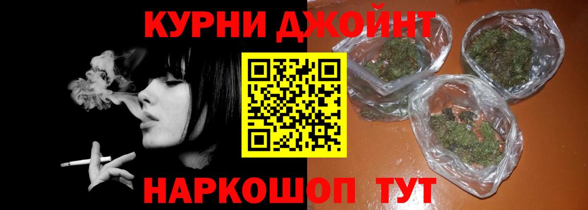 МАРИХУАНА сатива Звенигород